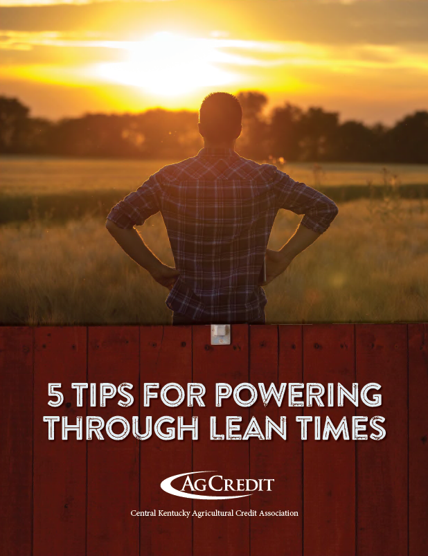 5 tips for powering through lean times