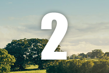 The number 2