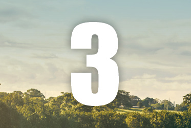 The number 3