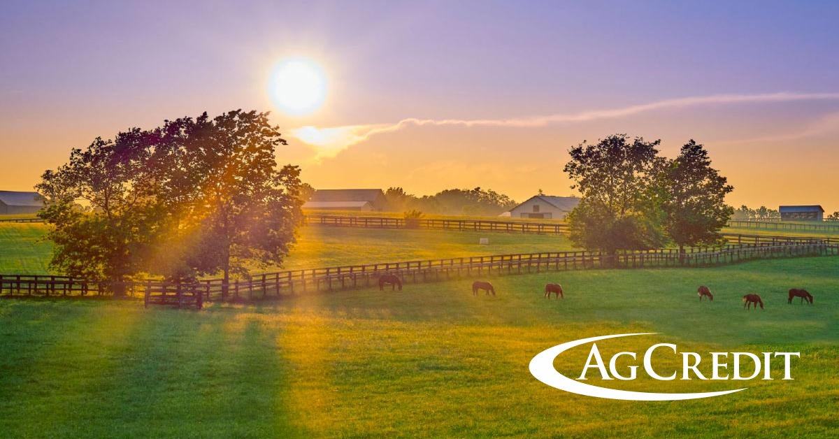 Livestock & Equine Loans | Central Kentucky Ag Credit