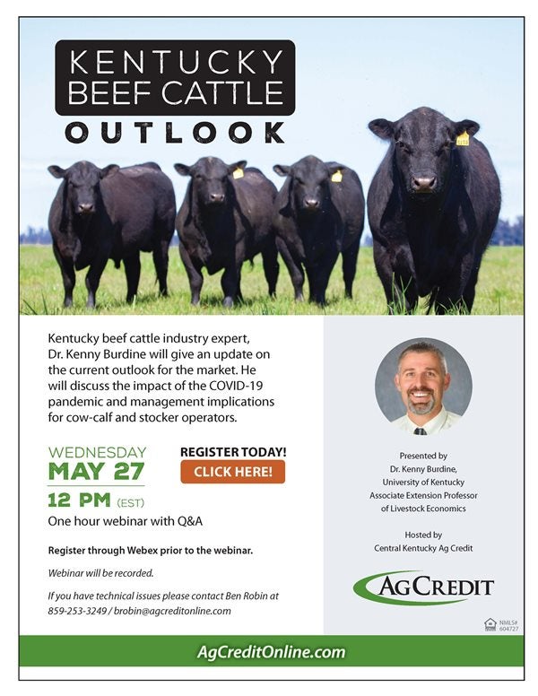 Beef Cattle Outlook Webinar flyer 