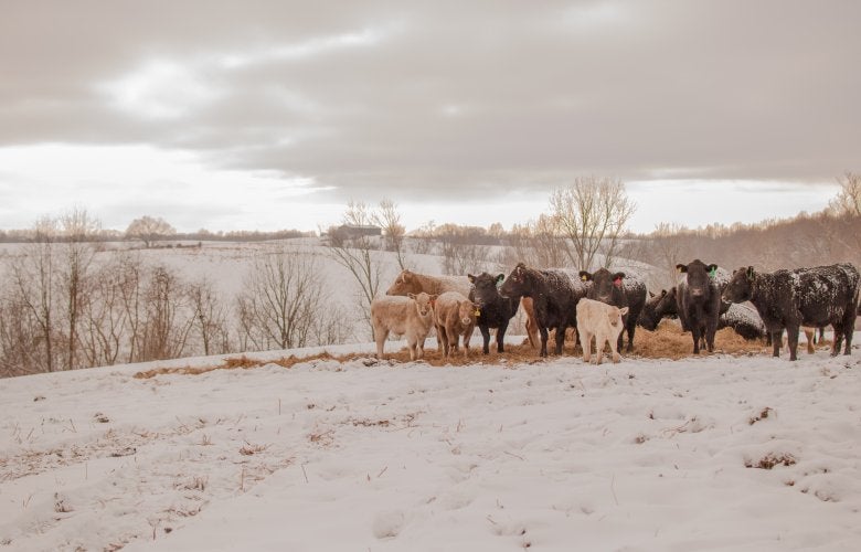 Farm Credit System to Support Customer 