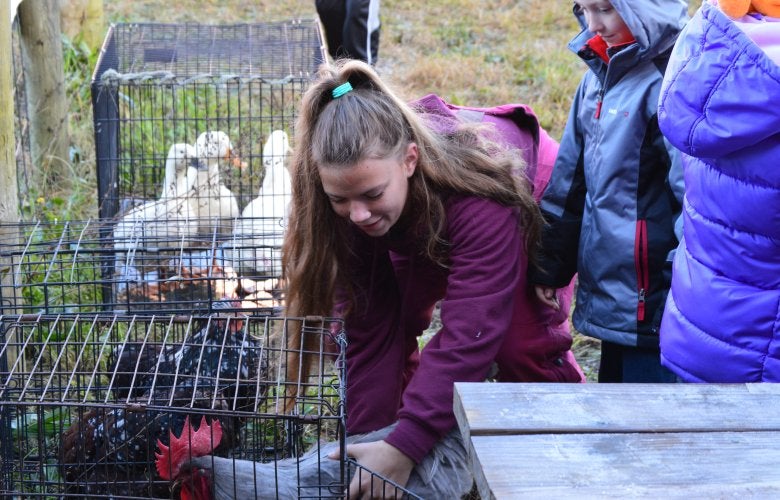 Molly with Chicken