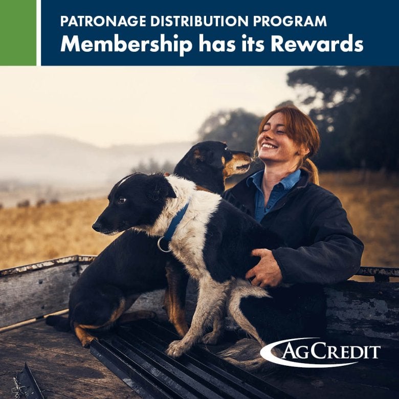 Membership has its Rewards