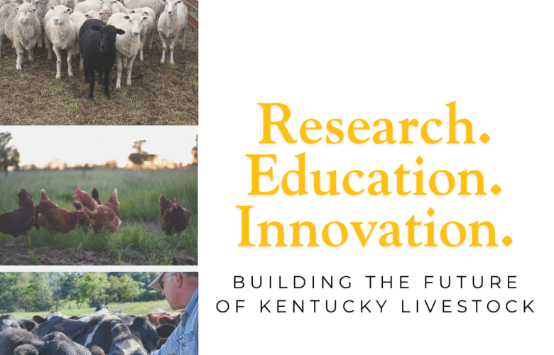 Kentucky Innovation Livestock Center - Research. Education. Innovation. Building the Future of Kentucky Livestock.