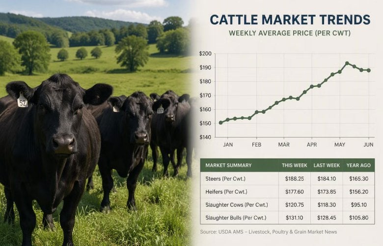 Why are Market Reports so Important?