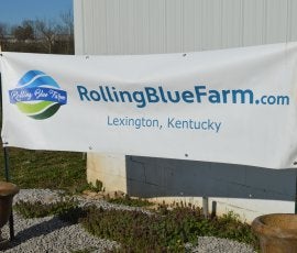 Rolling Blue Farm