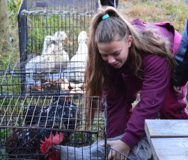 Molly with Chicken