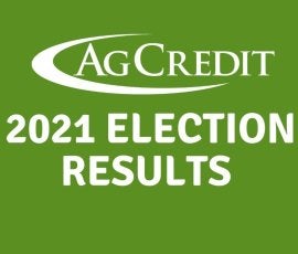 2021 Election Results 