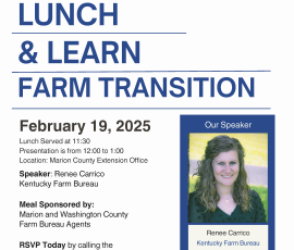 Lunch & Learn