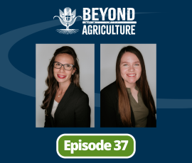 Episode 37 Breaking Down Borrowing