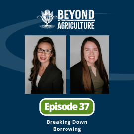 Episode 37 Breaking Down Borrowing