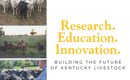 Kentucky Innovation Livestock Center - Research. Education. Innovation. Building the Future of Kentucky Livestock.