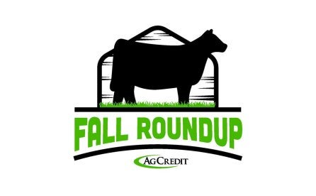 Ag Credit Fall Roundup