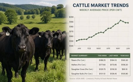 Why are Market Reports so Important?